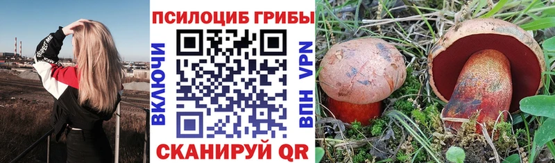 Псилоцибиновые грибы Magic Shrooms  Купить закладки  Олёкминск 
